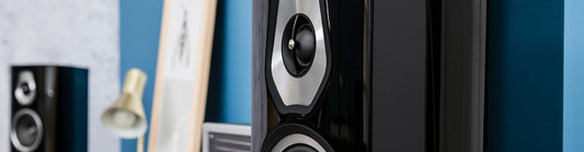 Speaker Close Up