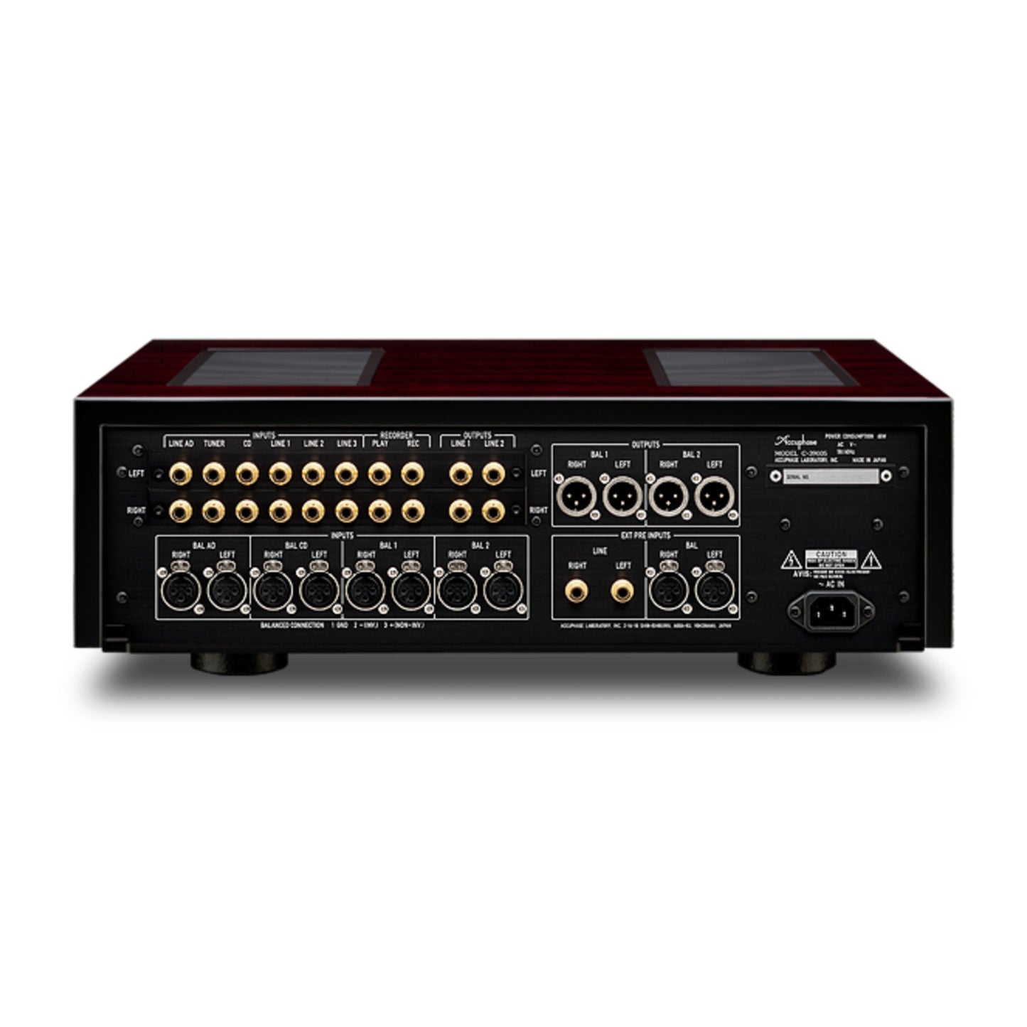 Back panel of Accuphase C-3900S Preamplifier on white background