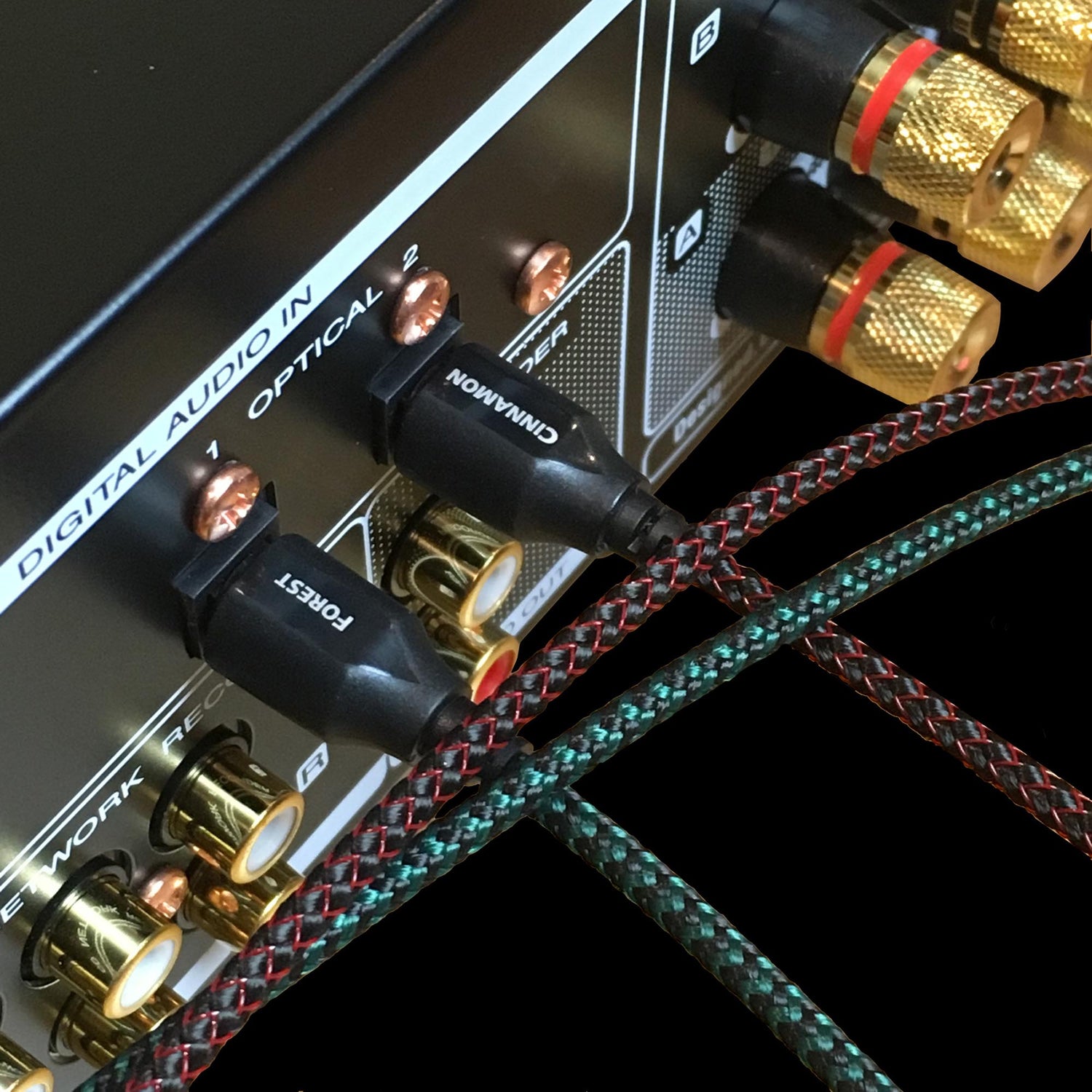 Optical cables plugged into component