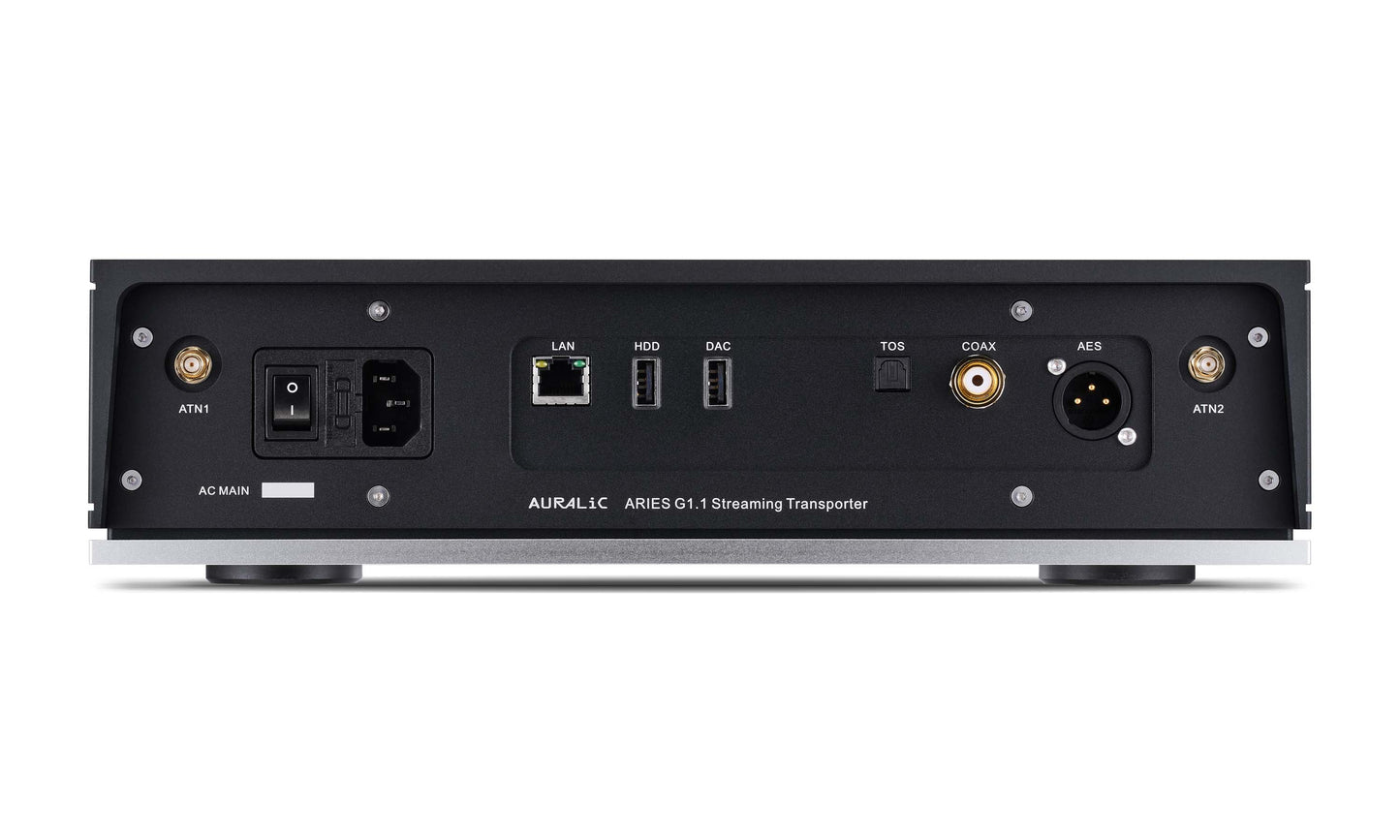 AES/EBU, Coaxial, Toslink, USB Outputs, Optional CD Ripping & Playback