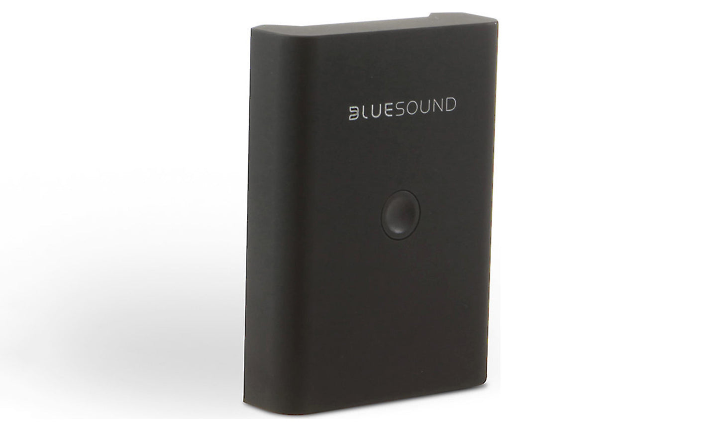 Bluesound BP100 Battery Pack