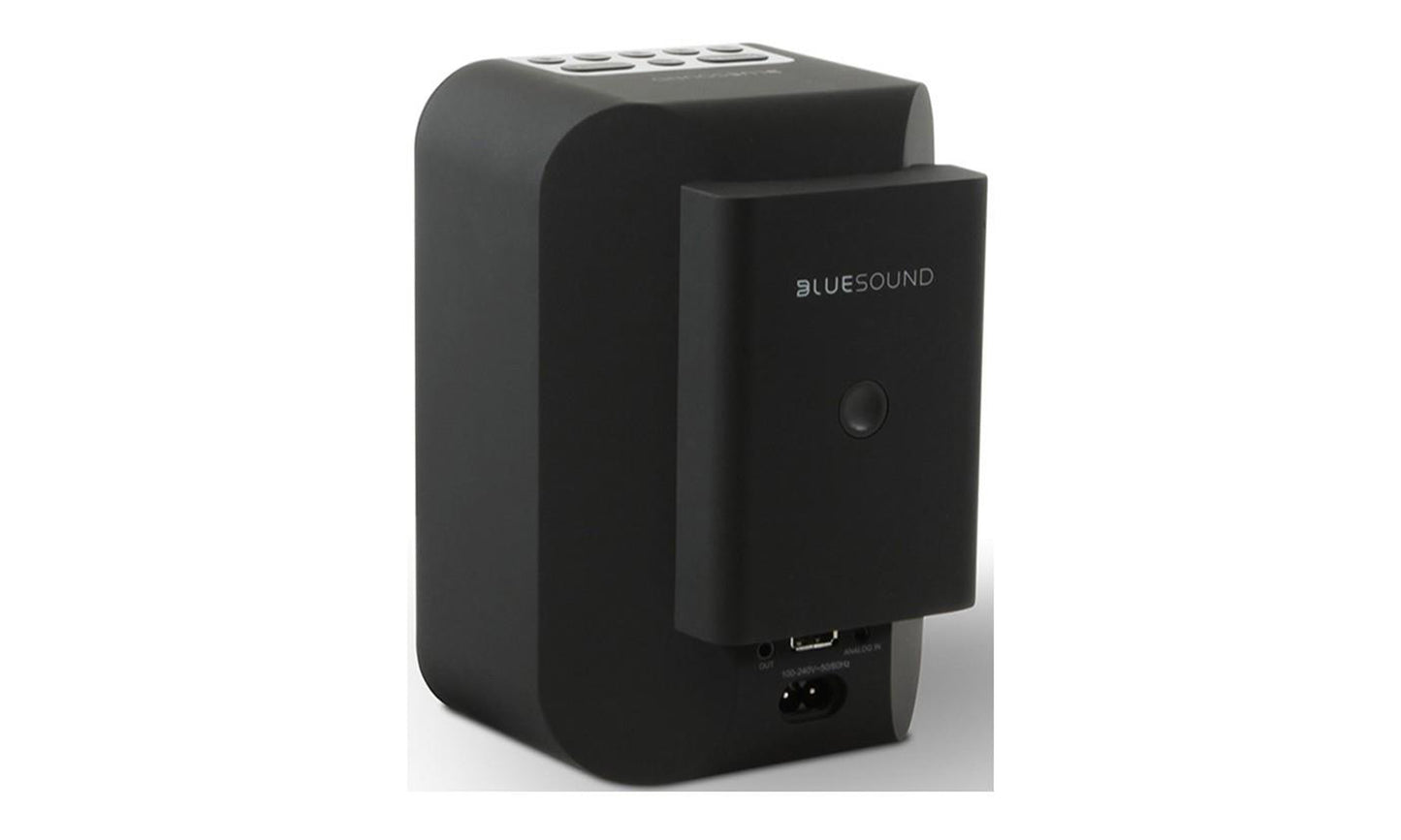 Bluesound BP100 Battery Pack