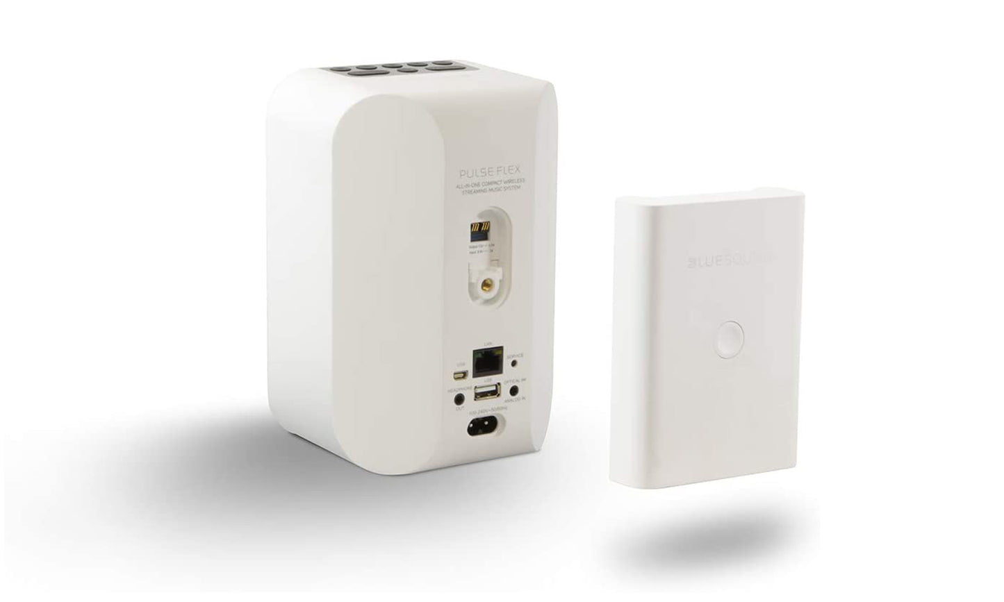 Bluesound BP100 Battery Pack