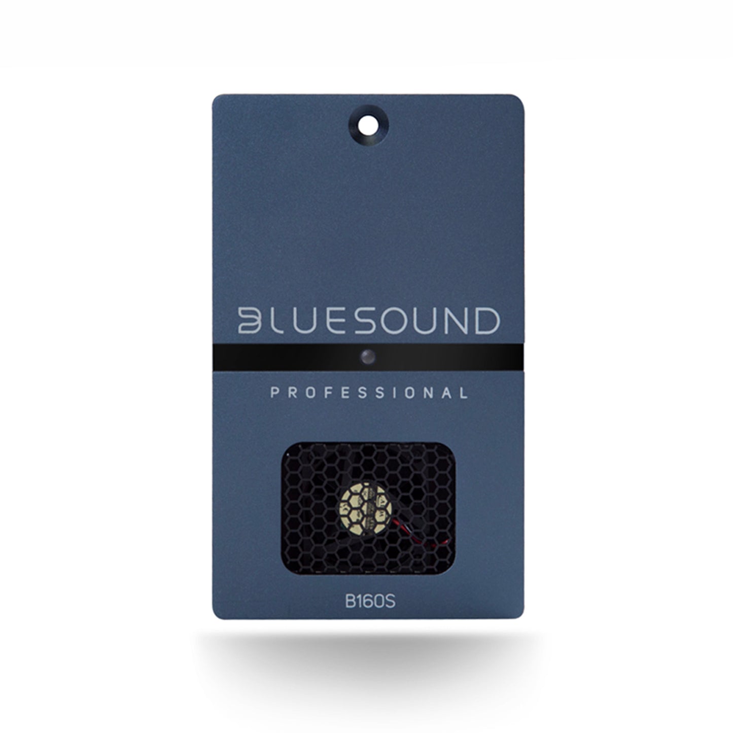 Front of Bluesound Professional B160S Streaming Amplifier on white background