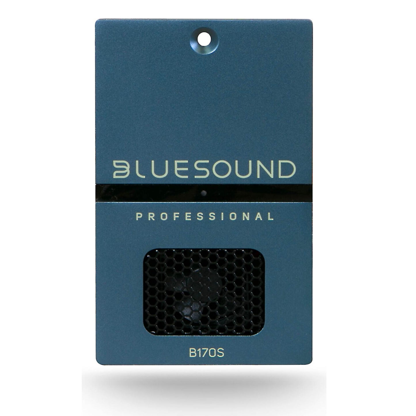 Front of Bluesound Professional B170S Streaming Amplifier on white background