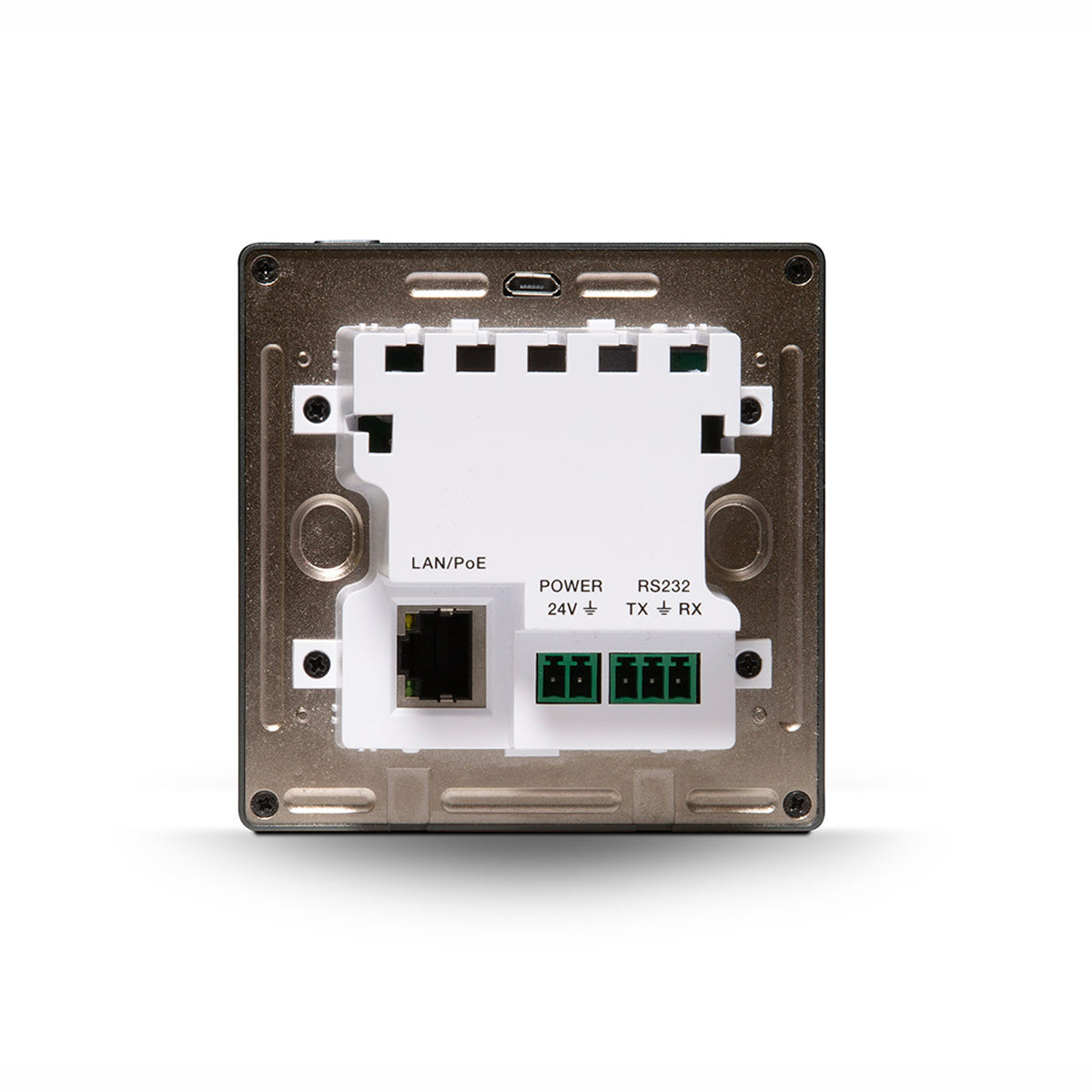 Back of Bluesound Professional CP200 on white background
