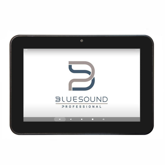 Bluesound Professional CP 300 on white background