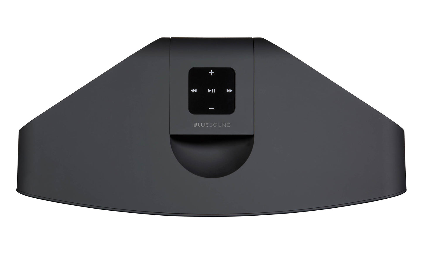 Bluesound Pulse 2i Wireless Speaker
