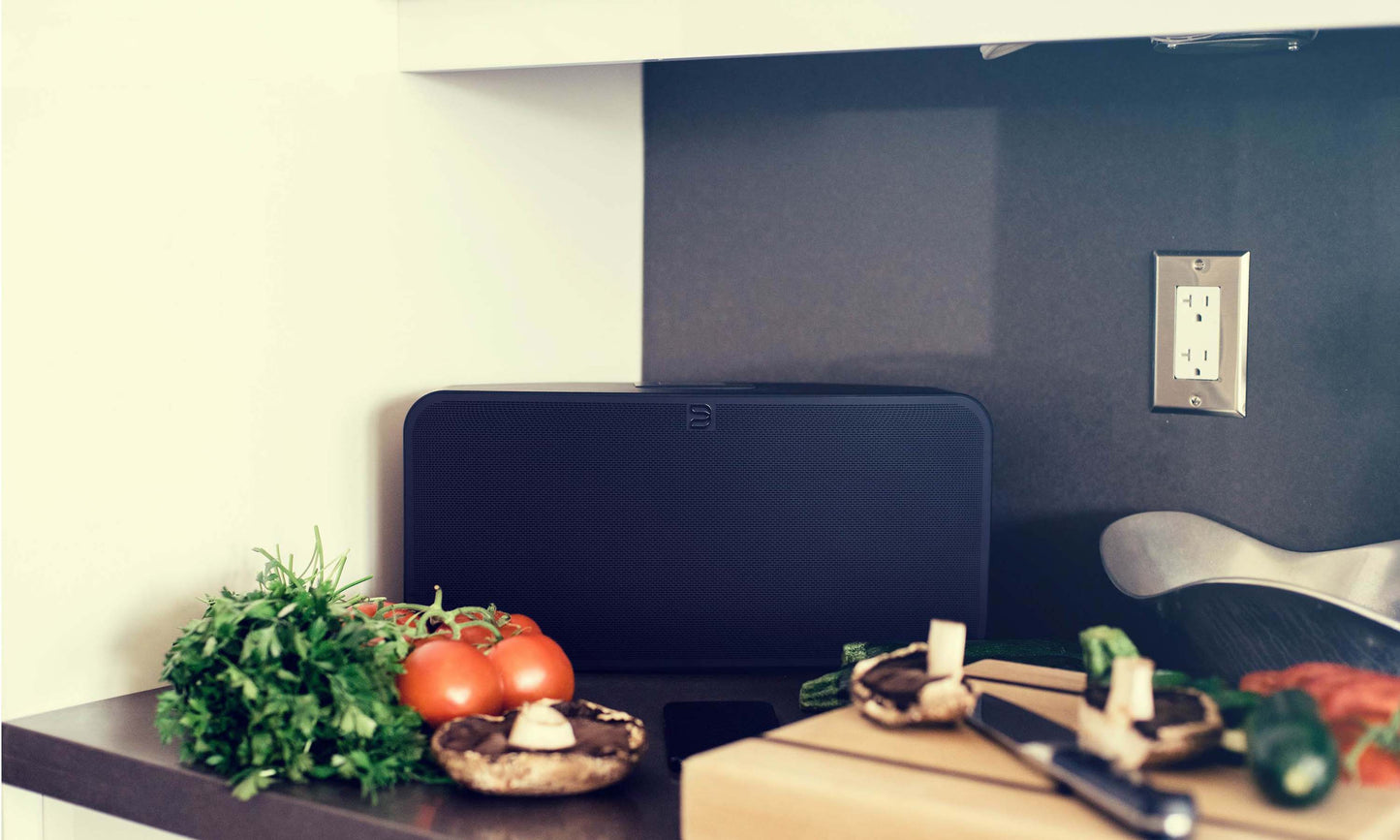 Bluesound Pulse 2i Wireless Speaker
