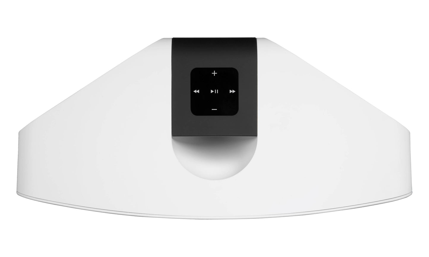 Bluesound Pulse 2i Wireless Speaker