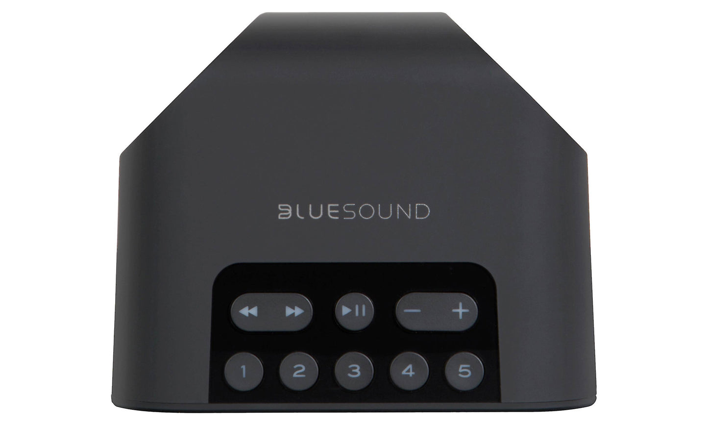 Bluesound Pulse Flex 2i Wireless Speaker
