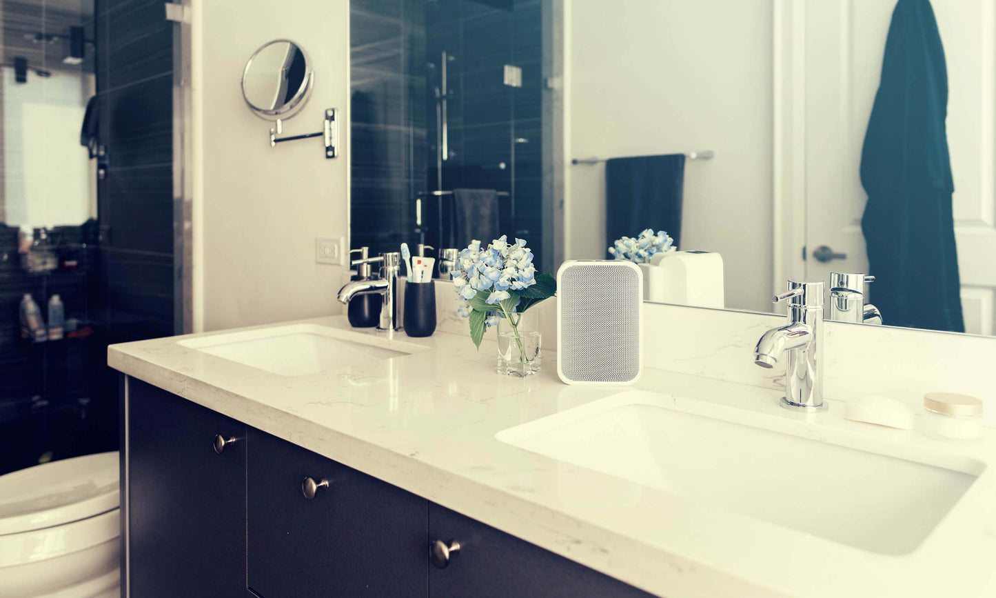 Bluesound Pulse Flex 2i Wireless Speaker