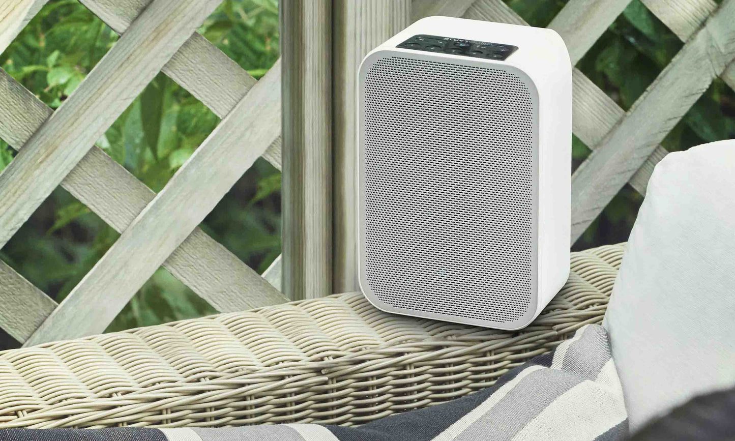Bluesound Pulse Flex 2i Wireless Speaker