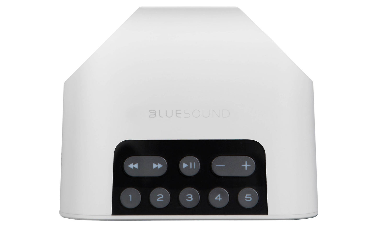 Bluesound Pulse Flex 2i Wireless Speaker