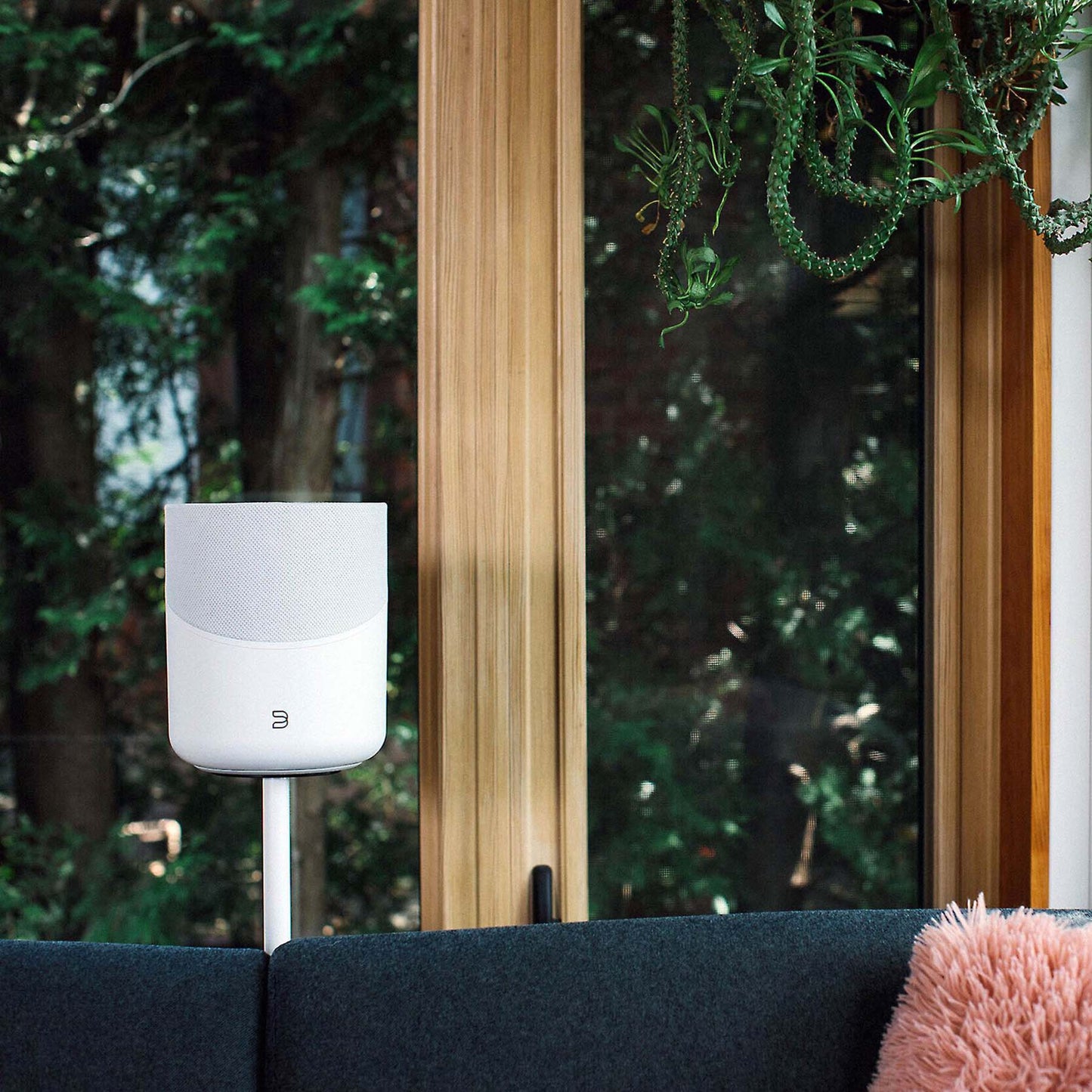 Bluesound Pulse M Wireless Speaker