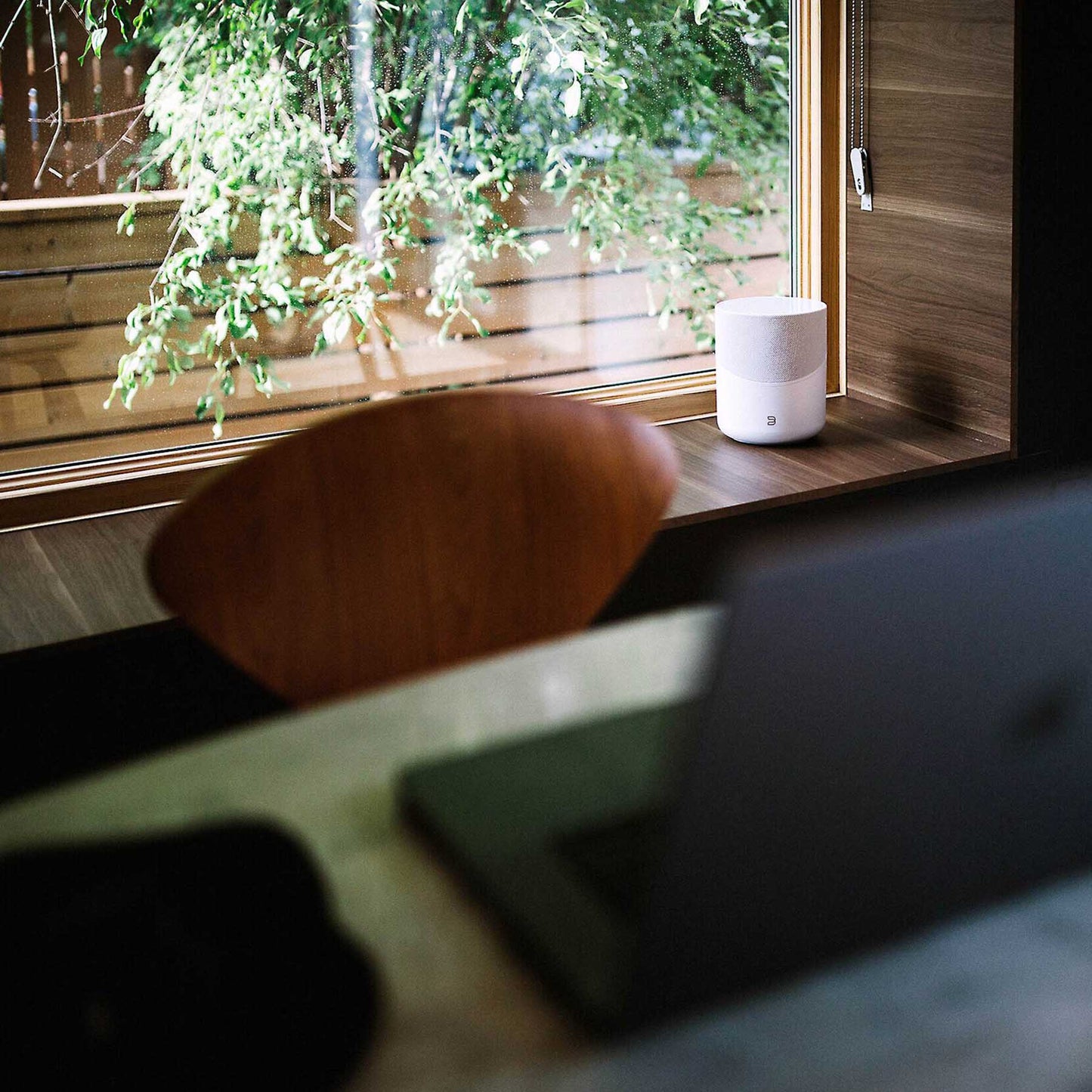 Bluesound Pulse M Wireless Speaker