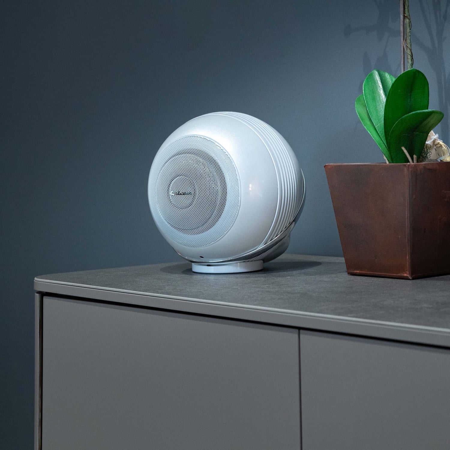 Cabasse Speaker on cabinet with orchid in pot