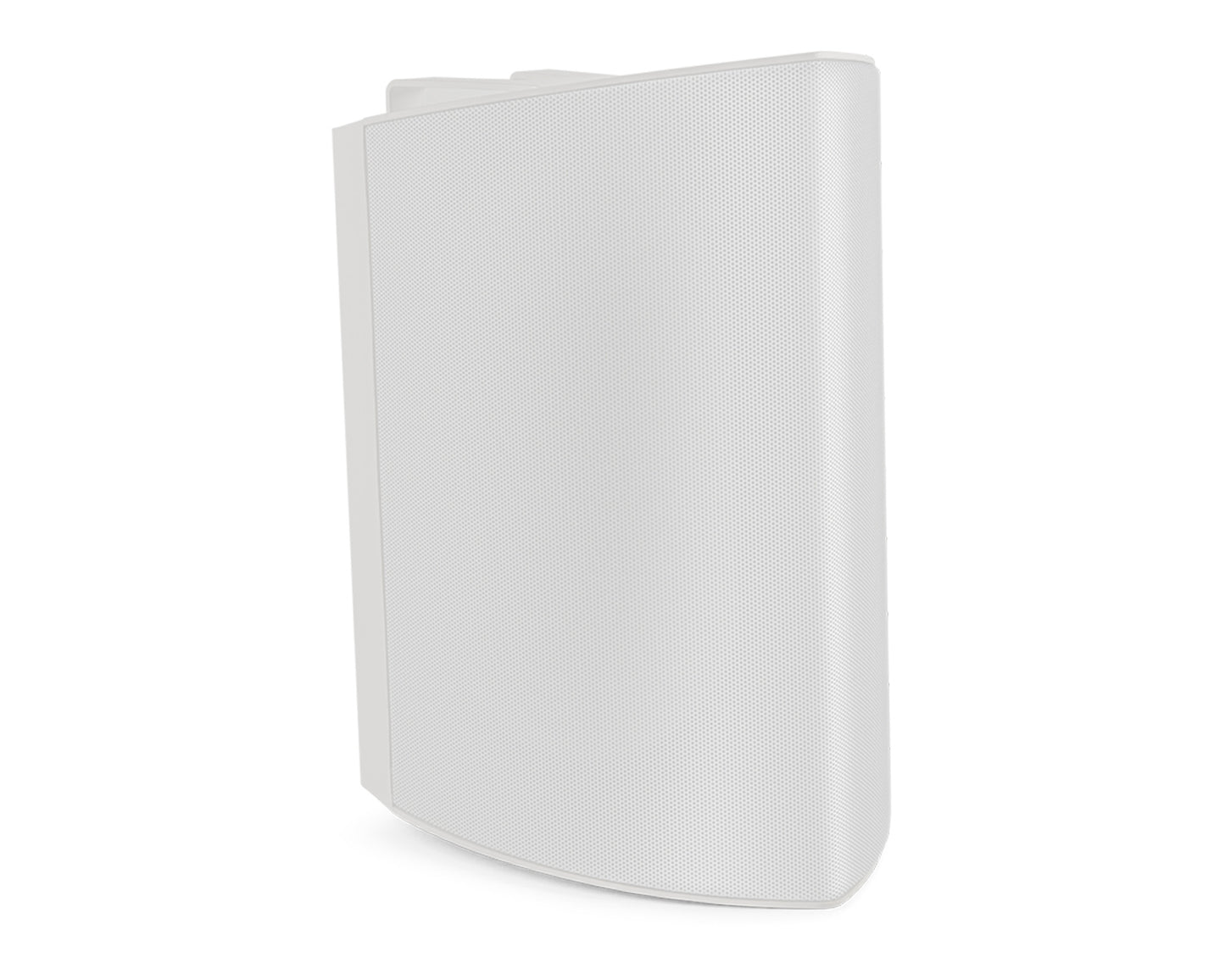 Definitive Technology Dymension AW-650 Outdoor Speakers