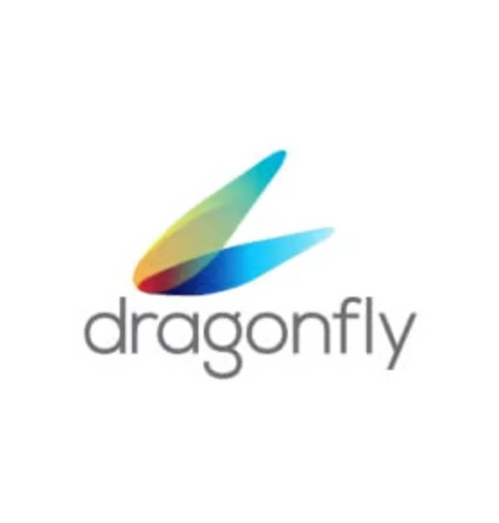 Dragonfly Logo