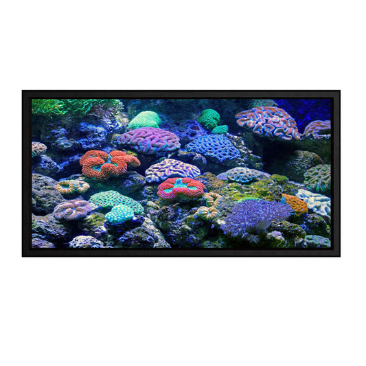 DTX Digital Vision Matt White 2.39:1 Projector Screen - With Coral Reef on the Screen
