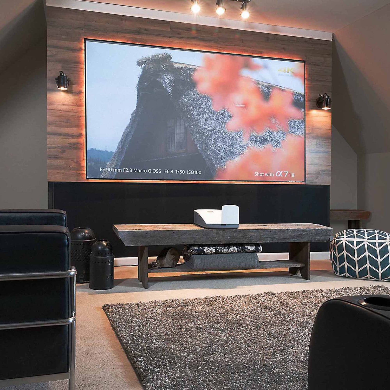 Elite Screen on wall with projector