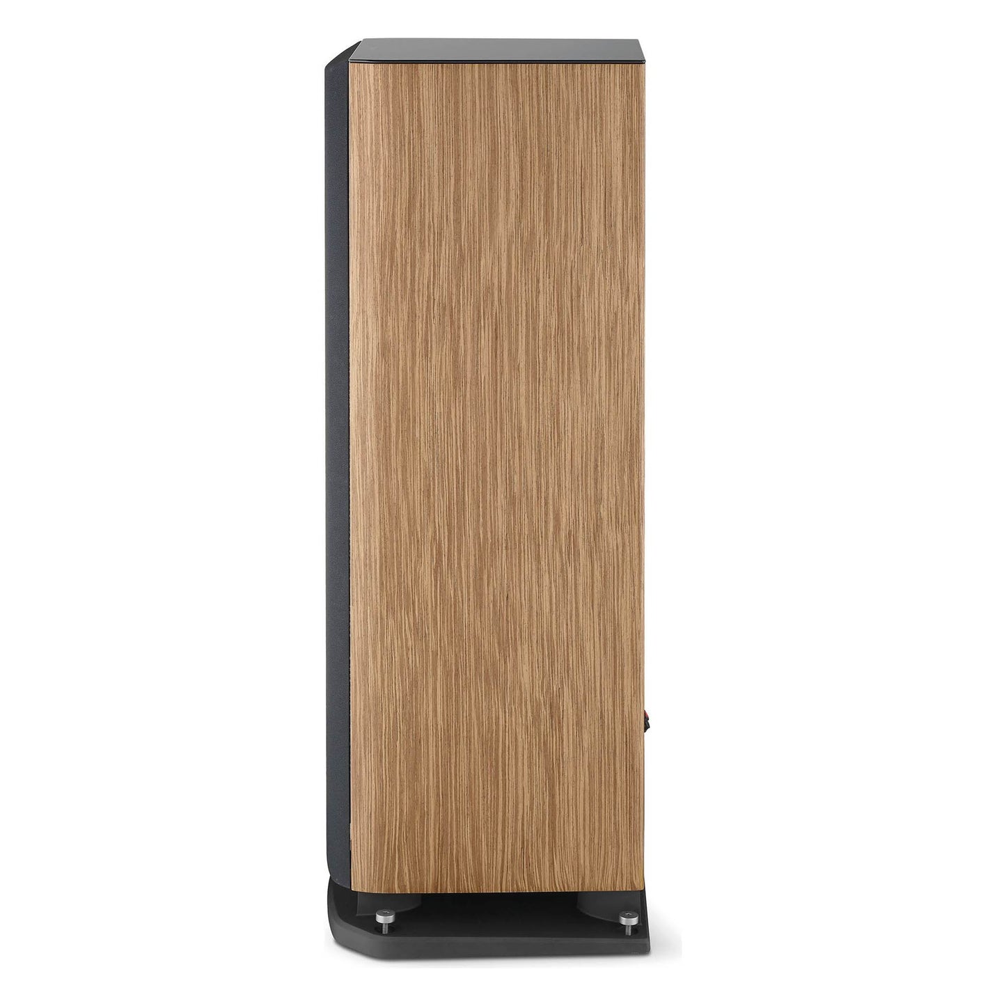 Focal Aria Evo X N°4 Speakers