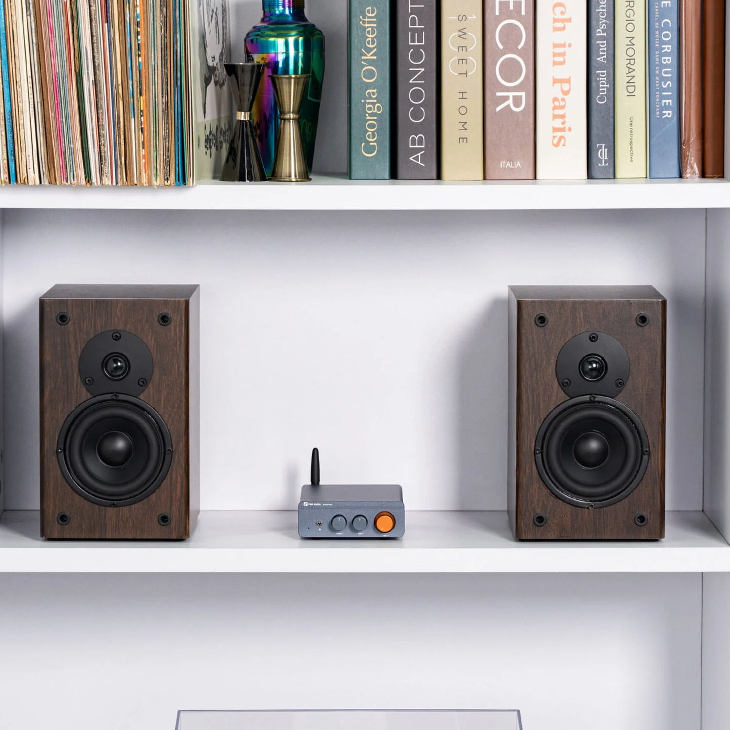 Pair of wooden speakers on a shelf with books in the background