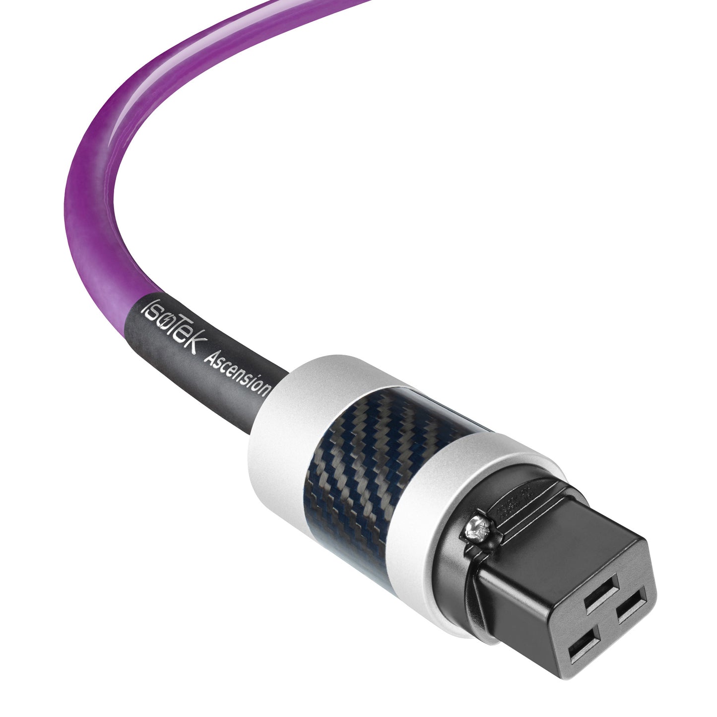 Closeup of C19 plug