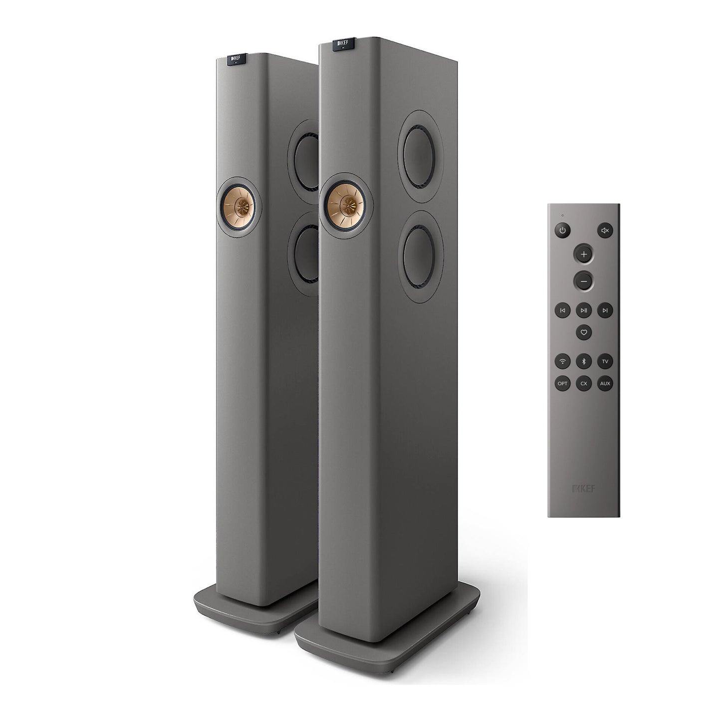 Pair of gray floor-standing speakers with a remote control on a white background