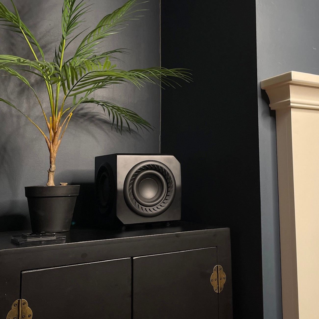 Lithe Audio Wireless Micro Subwoofer on black cabinet and plant on shelf