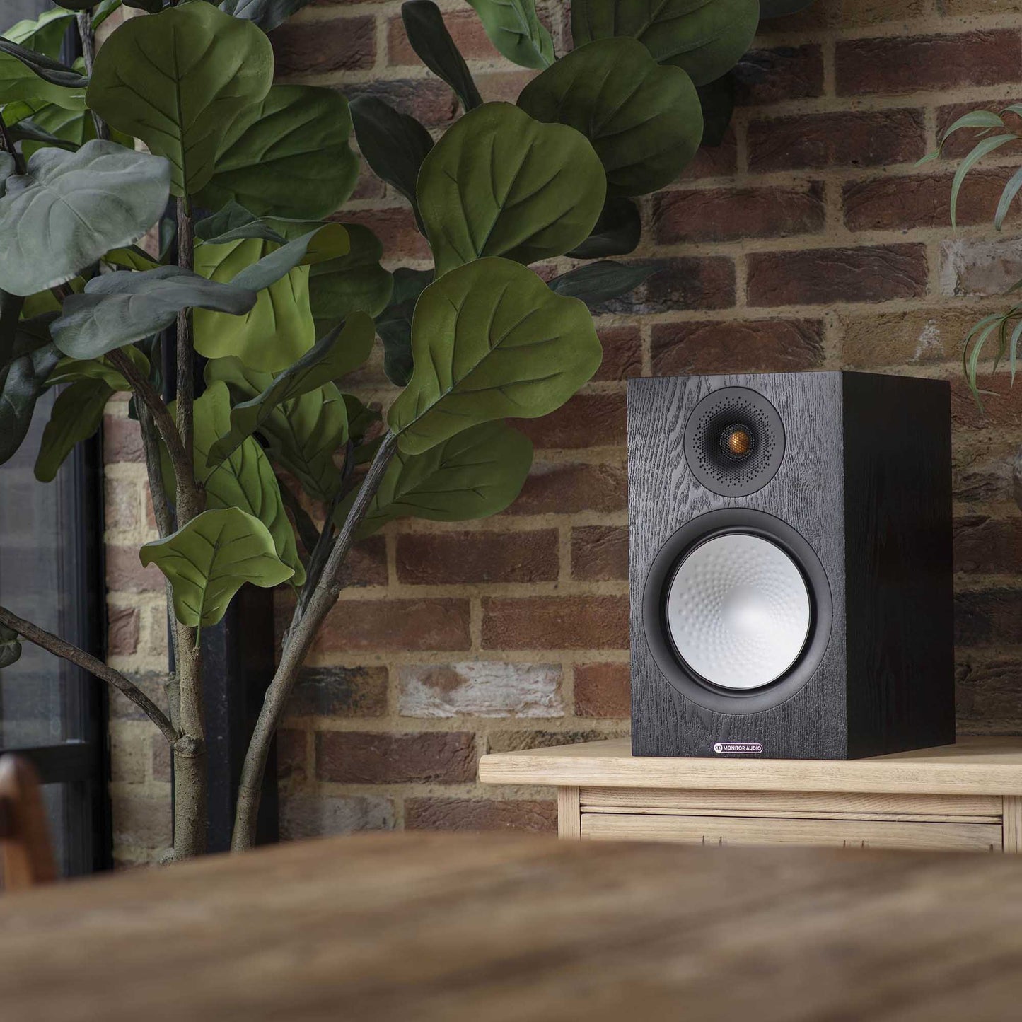 Speaker on a wooden surface with a brick wall and plant in the background