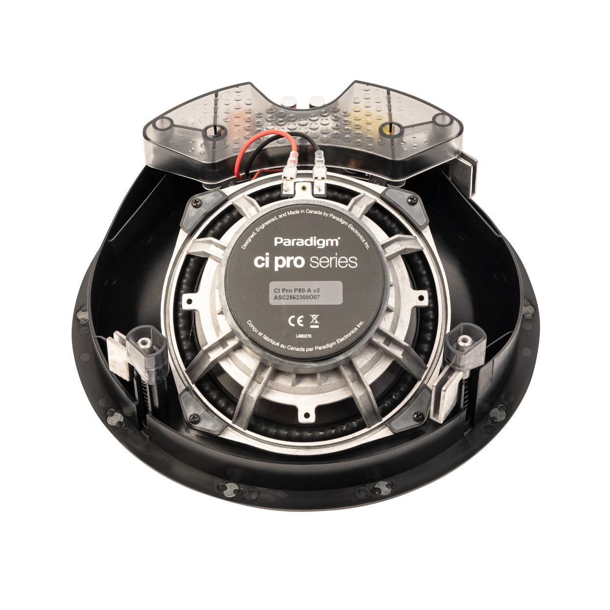 203mm (8") CARBON-X Cone Mid/Bass Driver