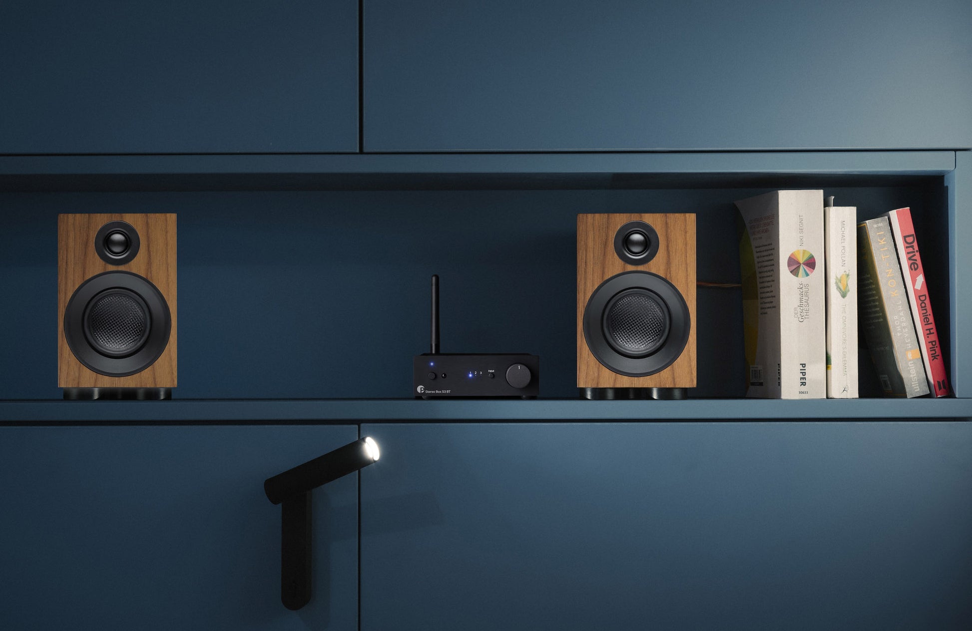 ProJect Speaker Box 3 E Carbon Speakers - Shown in walnut on bookcase