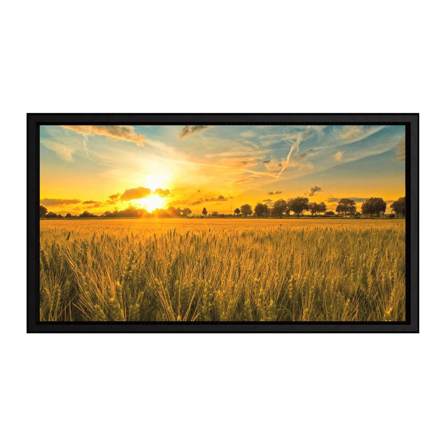 Screen Technics CinemaSnap MP (Microperforated White)