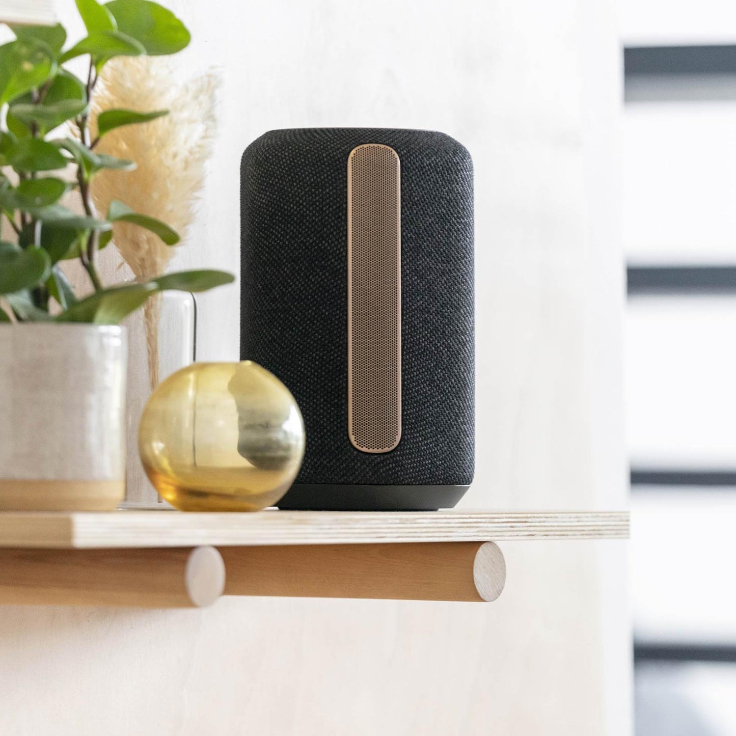 Alexa & Google Assistant Voice Control