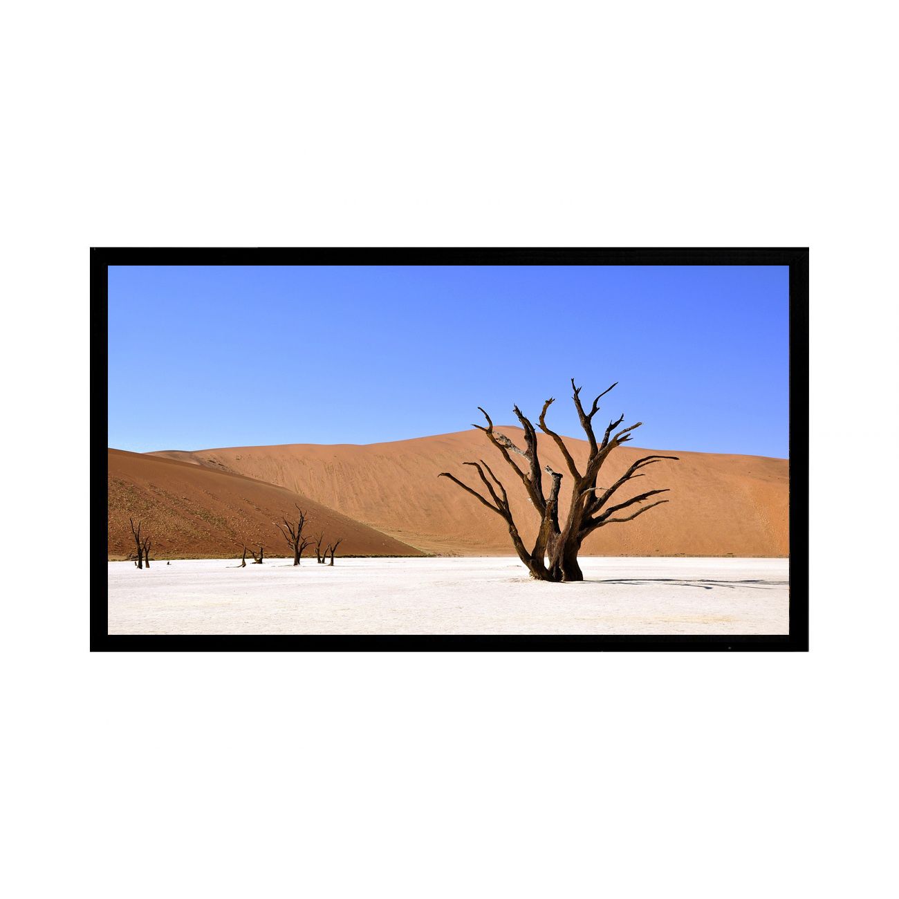 Tauris 100" Fixed Frame Screen