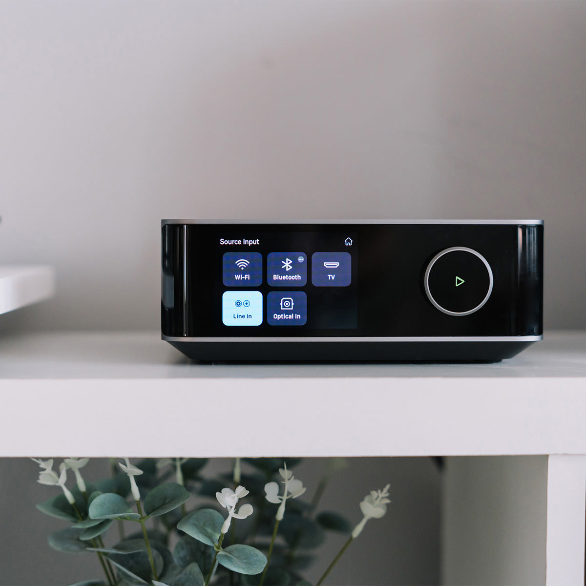 WiiM Amp Ultra Streaming Amplifier with display on a white surface, blurred plant in foreground