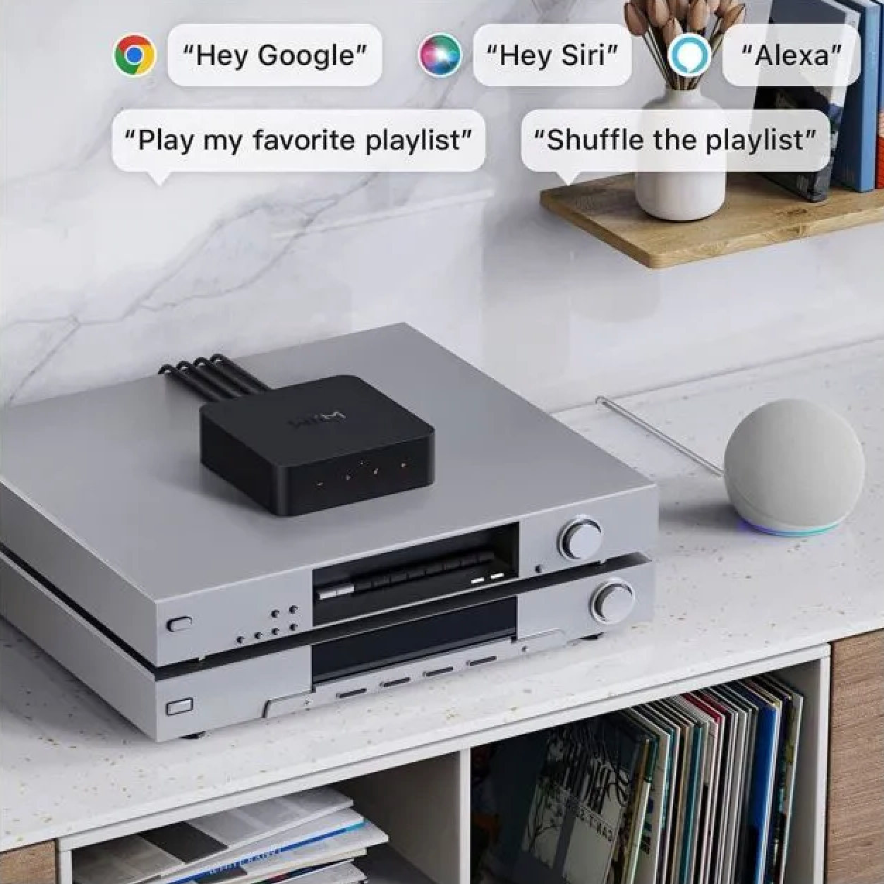 WiiM Pro Plus Network Music Streamer - Make Voice Commands