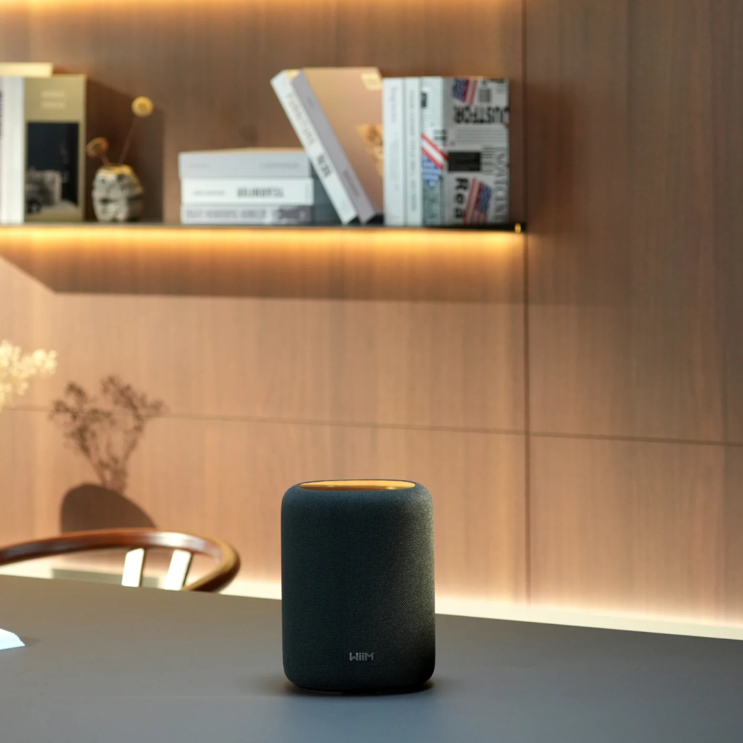 Black WiiM Sound Lite Smart Speaker on table with bookshelf in background
