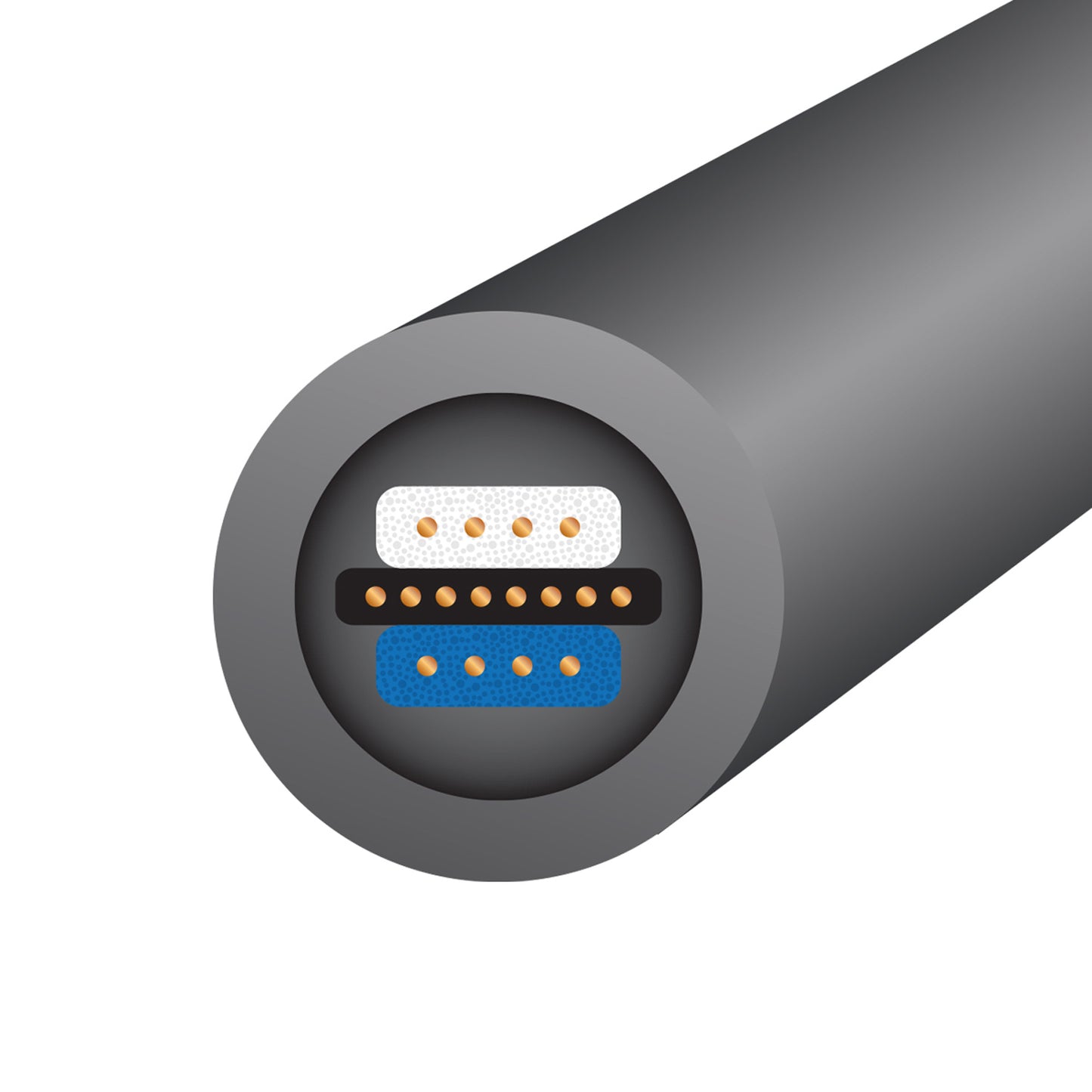 WireWorld Equinox 10 Subwoofer Cable
