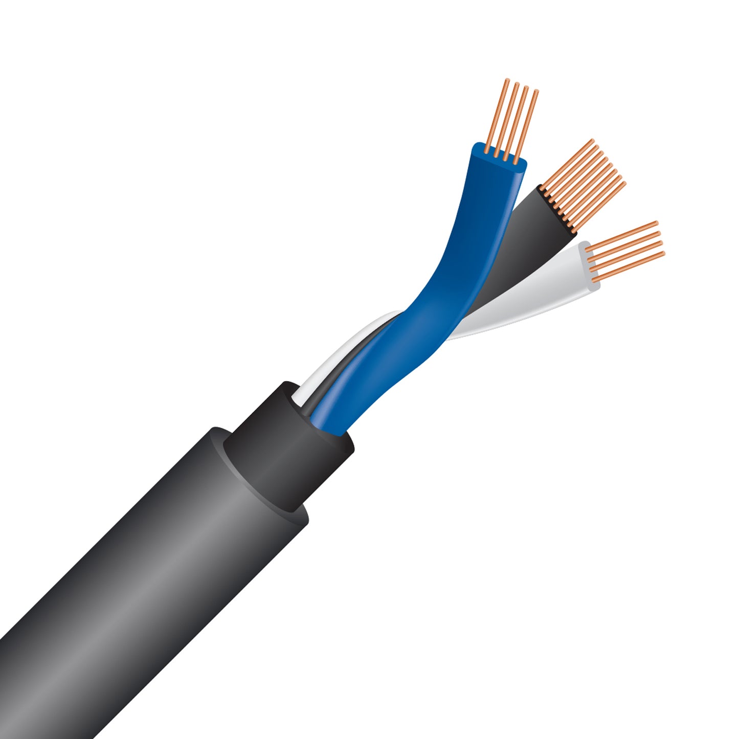 WireWorld Equinox 10 Subwoofer Cable