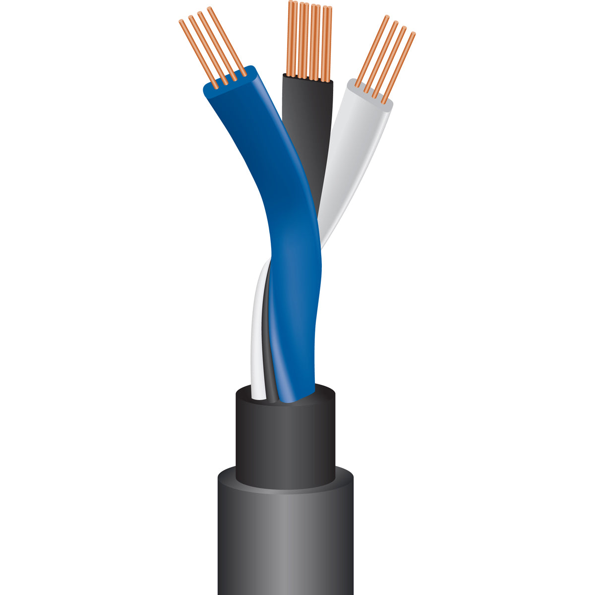 Wireworld Equinox 8 RCA Cable - Cutaway