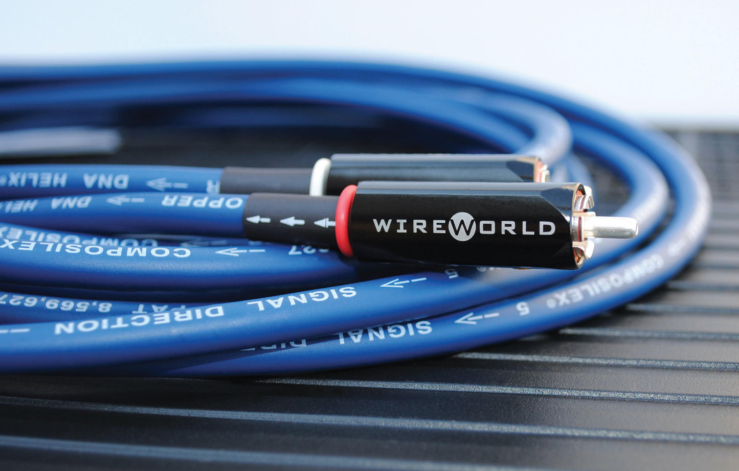 WireWorld Oasis 10 RCA to RCA Cable