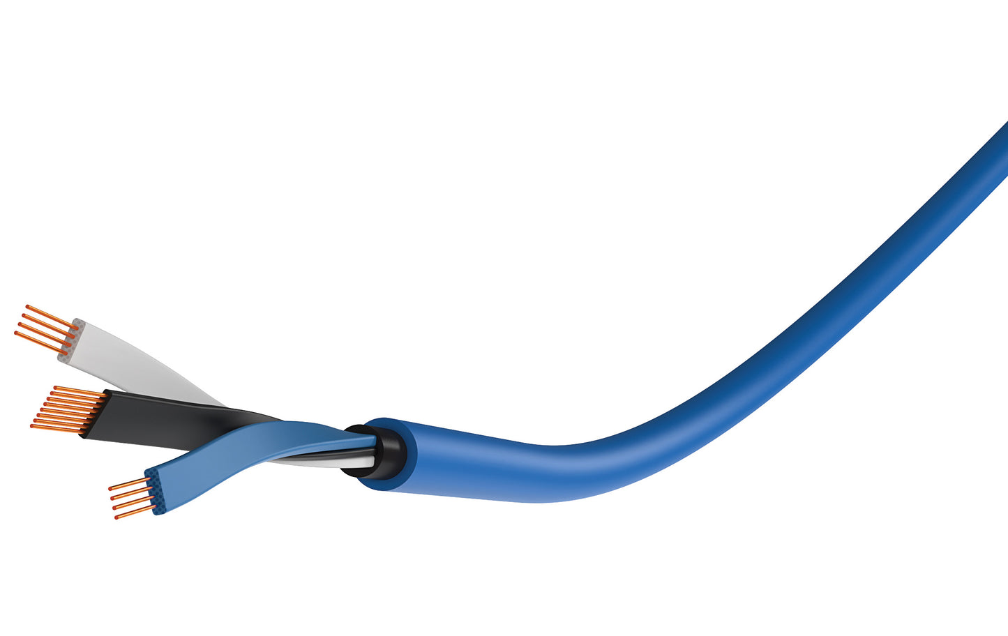 WireWorld Oasis 10 XLR to XLR Cable - Internal