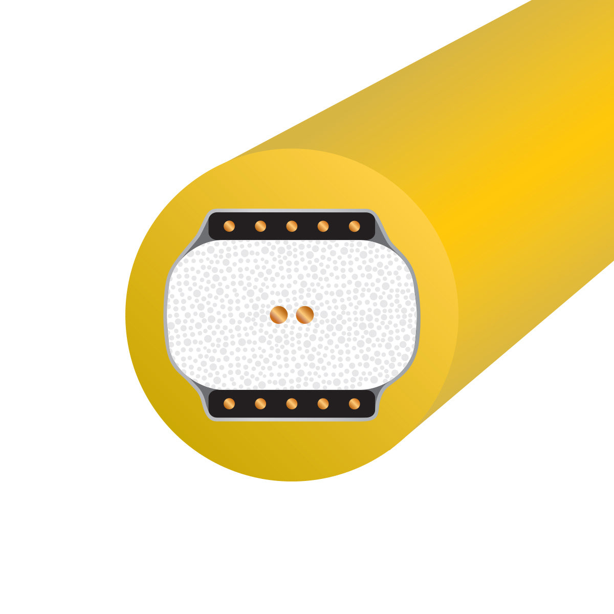 WireWorld Chroma 10 Coaxial Digital Cable - Internal