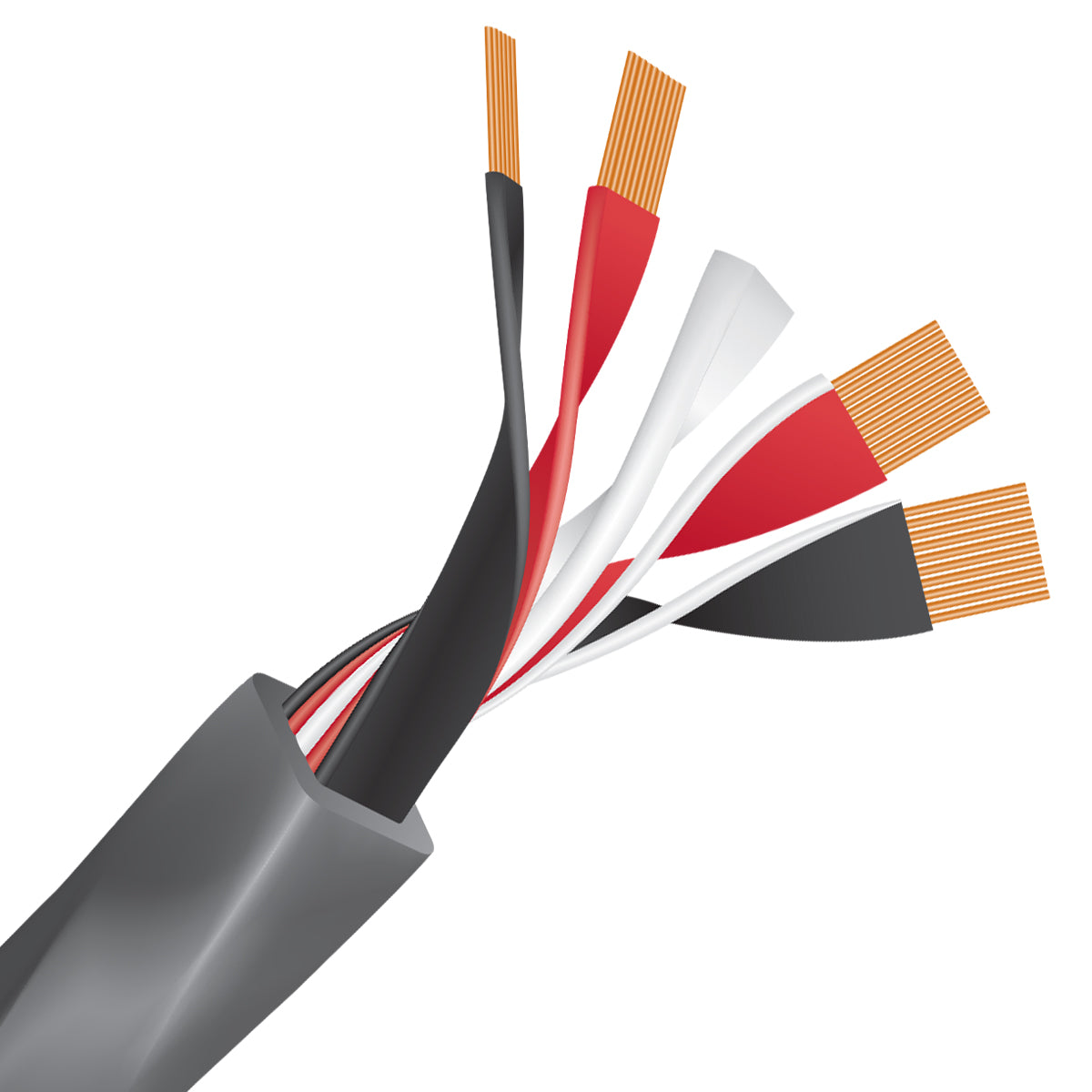 WireWorld Equinox 10 Factory Terminated Speaker Cable - Internal
