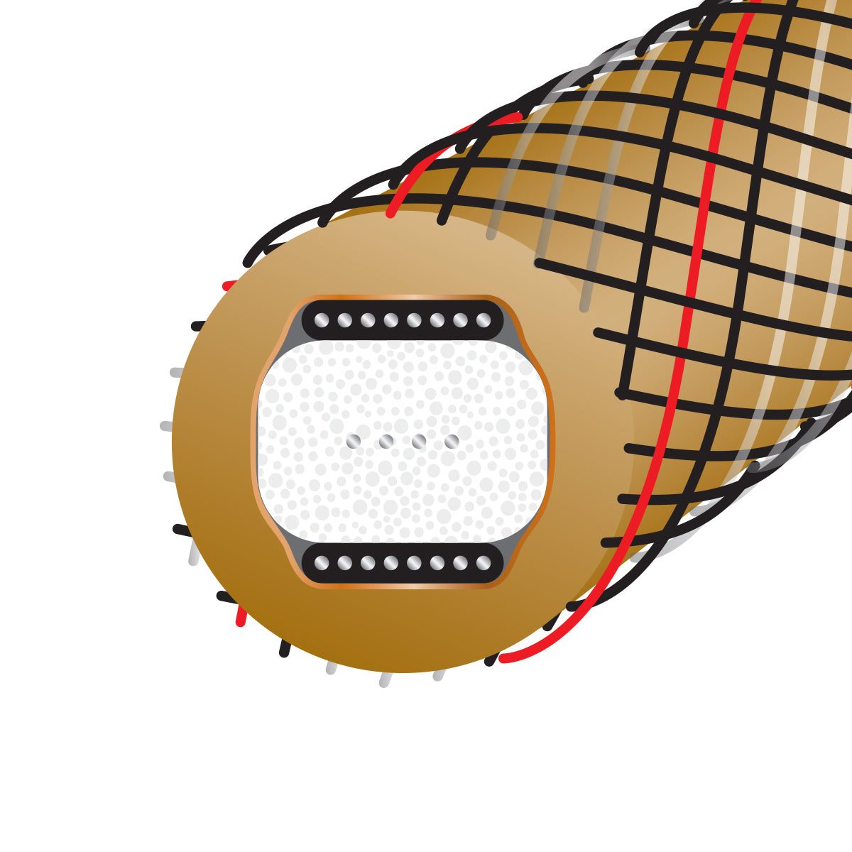 WireWorld Gold Starlight 10 Coaxial Digital Cable - Internal