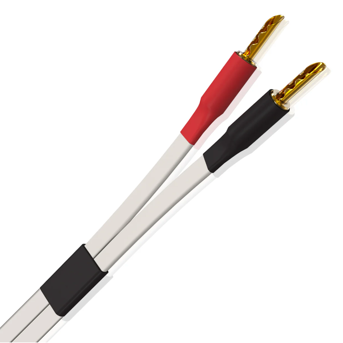 WireWorld Horizon Speaker Cable