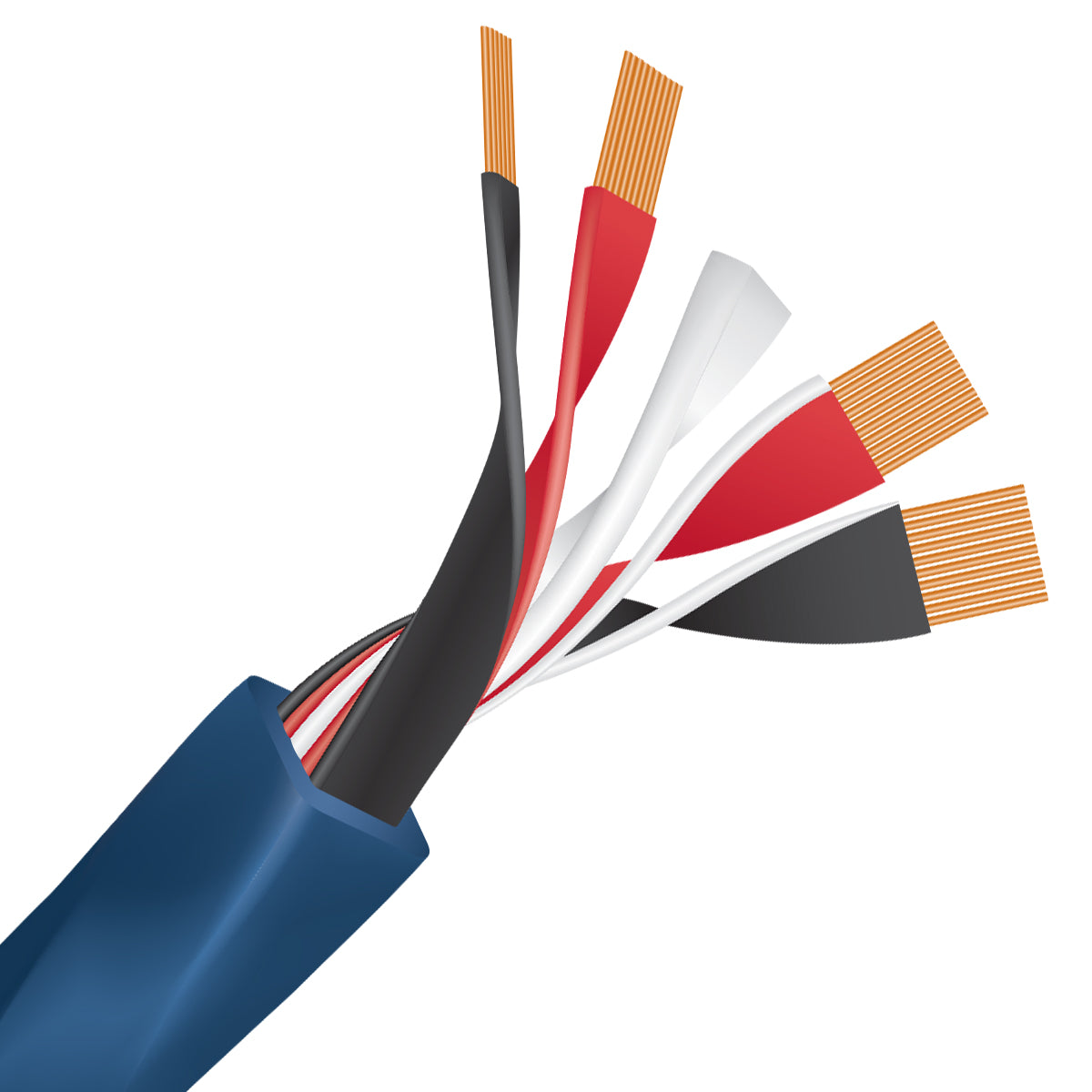 WireWorld Oasis 10 Bi-Wire Jumpers - Internal