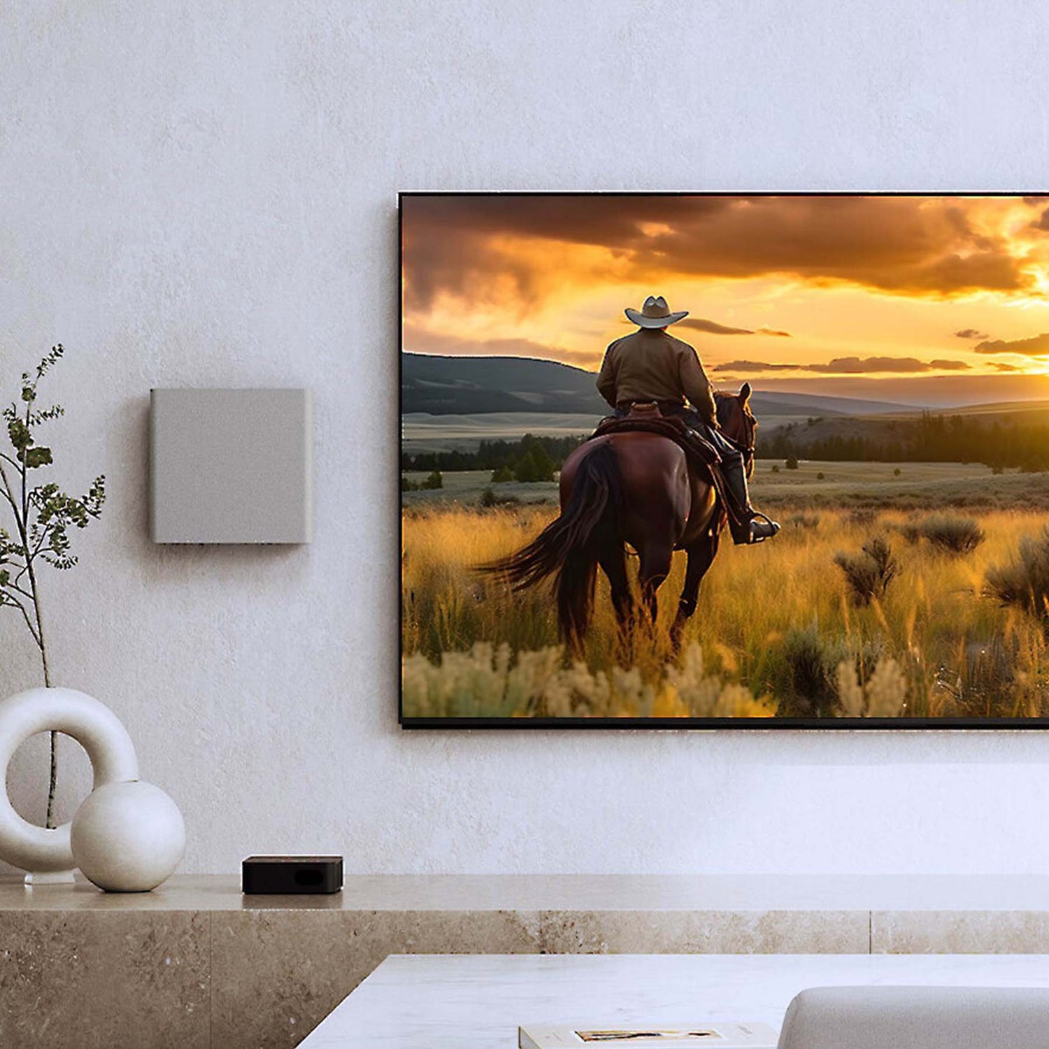 television with speaker on wall